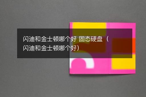 闪迪和金士顿哪个好 固态硬盘（闪迪和金士顿哪个好）