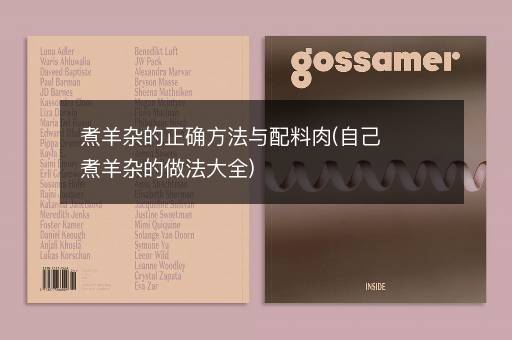 煮羊杂的正确方法与配料肉(自己煮羊杂的做法大全)