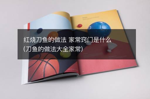 红烧刀鱼的做法 家常窍门是什么(刀鱼的做法大全家常)