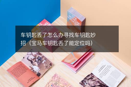 车钥匙丢了怎么办寻找车钥匙妙招（宝马车钥匙丢了能定位吗）