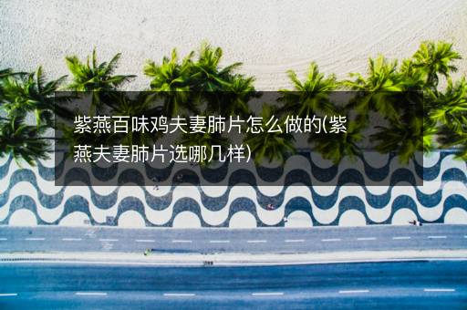 紫燕百味鸡夫妻肺片怎么做的(紫燕夫妻肺片选哪几样)