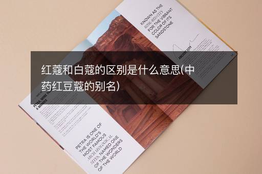 红蔻和白蔻的区别是什么意思(中药红豆蔻的别名)