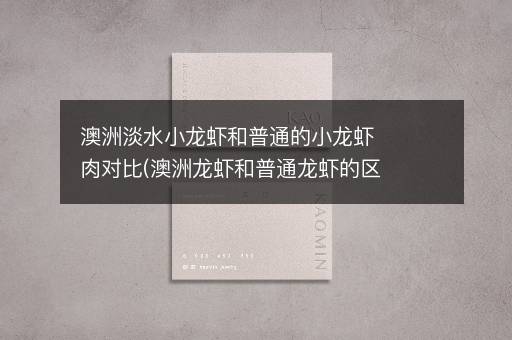 澳洲淡水小龙虾和普通的小龙虾肉对比(澳洲龙虾和普通龙虾的区别)