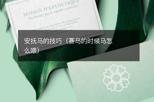 安抚马的技巧（赛马的时候马怎么喂）